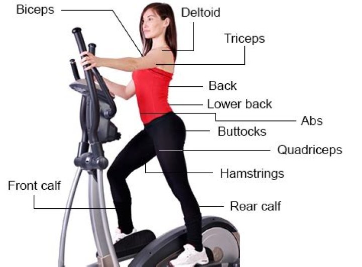 Do ellipticals tone legs?