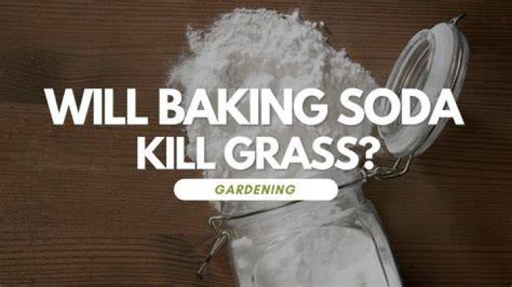 Does baking soda kill grass?
