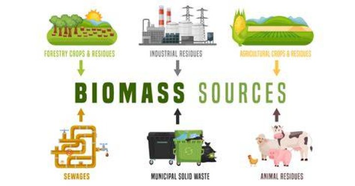 Does biomass contribute to global warming?