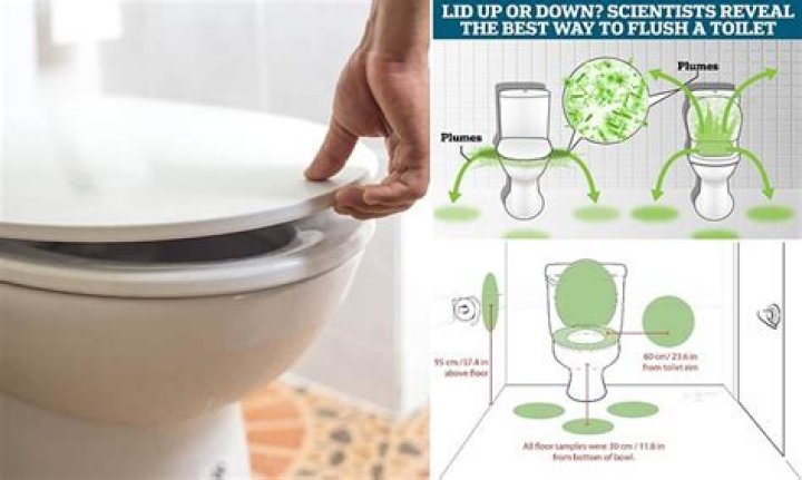 Does leaving the toilet seat up spread germs?