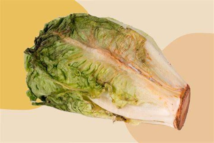 Does lettuce cry?