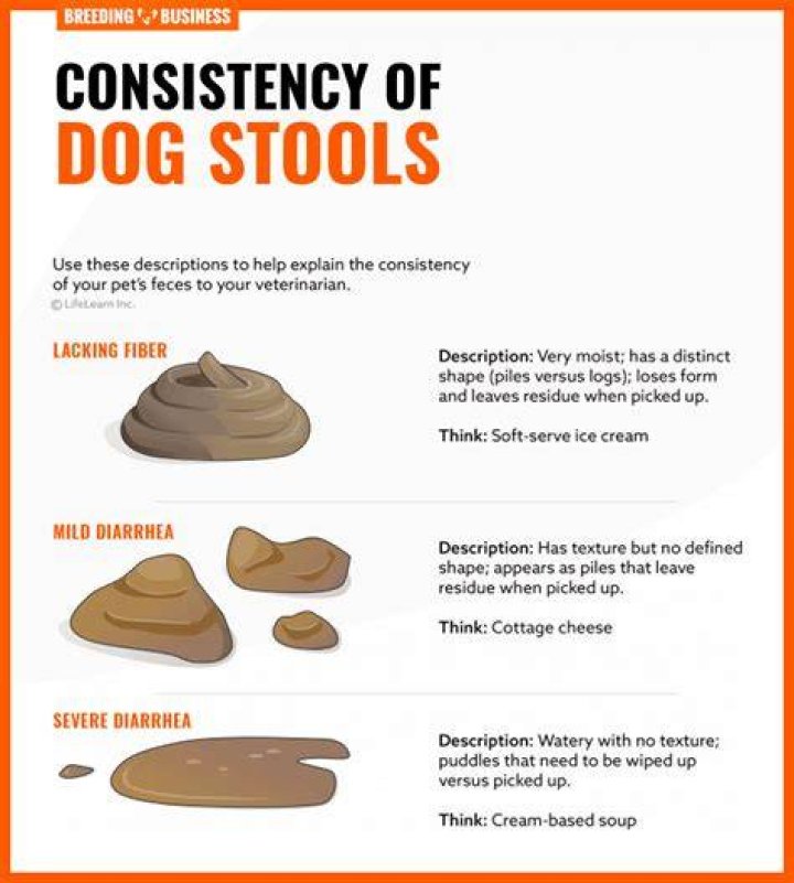 Does Pepcid stop diarrhea in dogs?