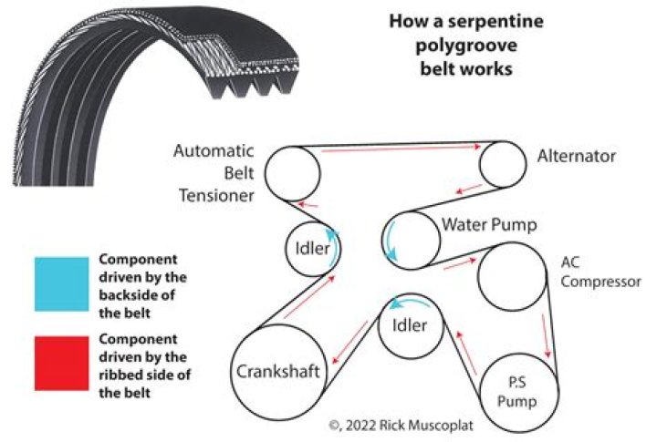 How do I test my serpentine belt?