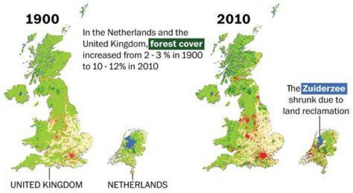 Was the UK once covered in forest?