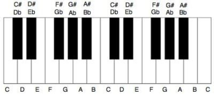 What are black piano keys called?