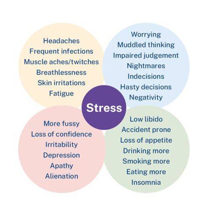 What are the signs of extreme stress?
