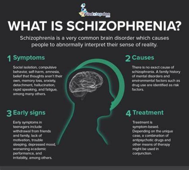 What does schizophrenia do to a person?