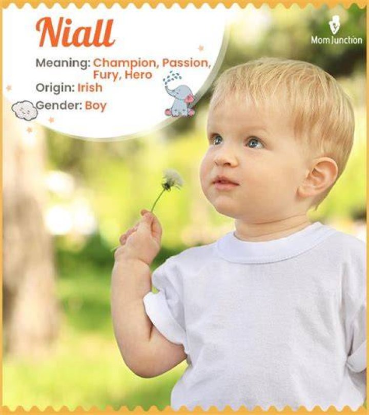 What Niall means?