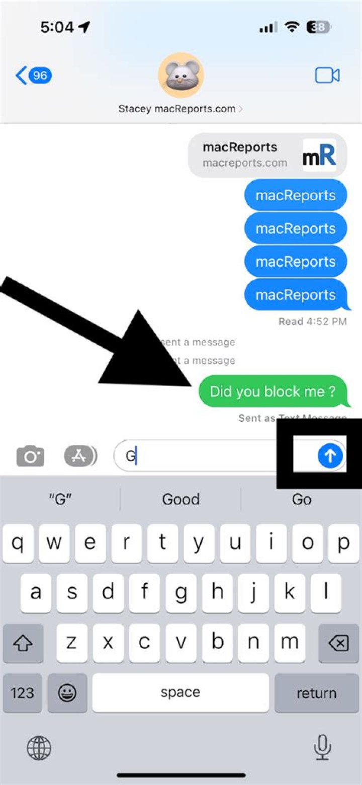 When your blocked on iPhone does it turn green?