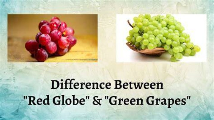 Which grapes are better green or red?